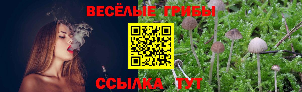 Галлюциногенные грибы MAGIC MUSHROOMS Симферополь